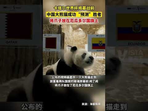中国,队与韩国,队半场激战,世界杯,世界杯2023,足球赛事,国际足球,世界杯新闻,世界杯赛程,世界杯直播,世界杯历史,世界杯冠军,世界杯赛制,世界杯小组赛,世界杯进球